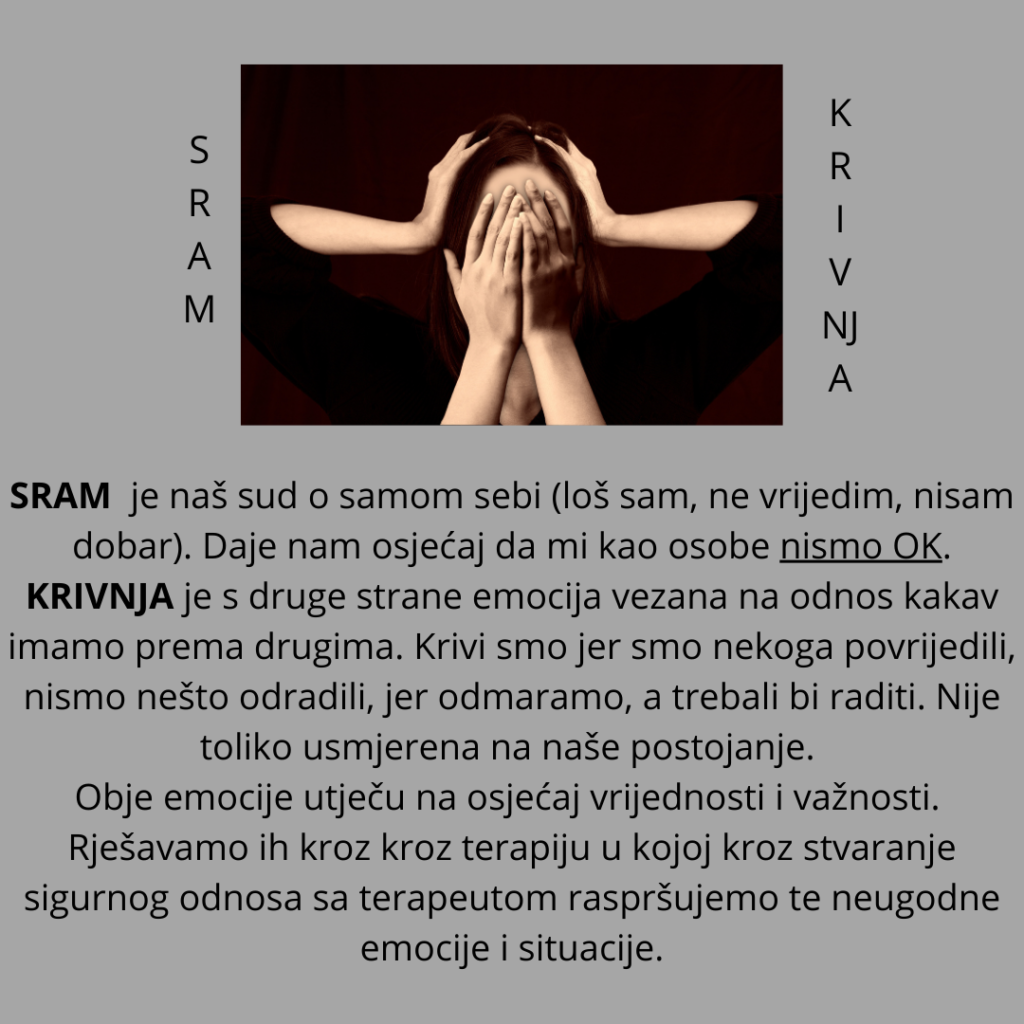 Sram i krivnja